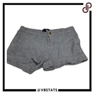 The North Face Blue/Gray Pinstripe Outdoor Adventure Women's Shorts in Size 6